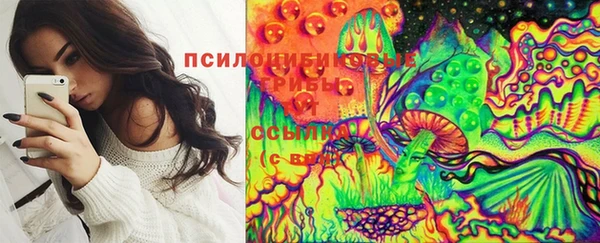 метадон Богородицк