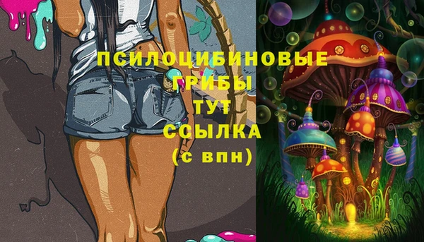 мяу мяу мука Саяногорск