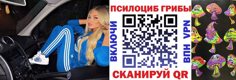 Галлюциногенные грибы Psilocybe  Купить закладки  Тула 