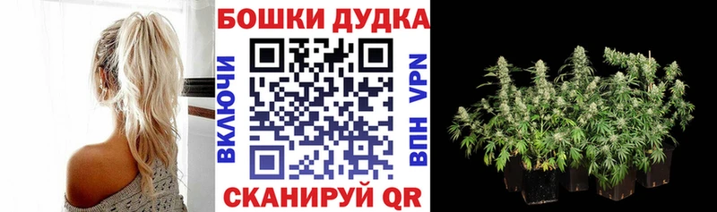 Конопля конопля  Купить закладки  Тула 